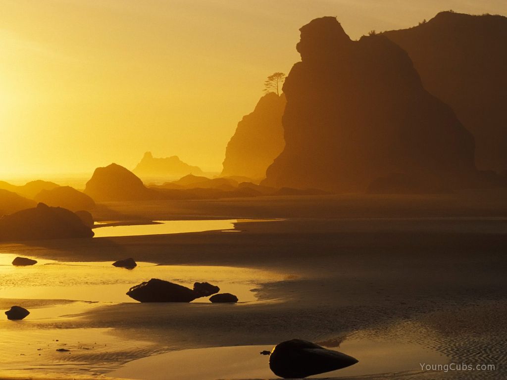 Shi Shi Beach Reflection, Olympic National Park, Washington